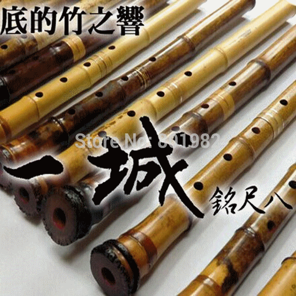 bamboo_bambou_bambusa